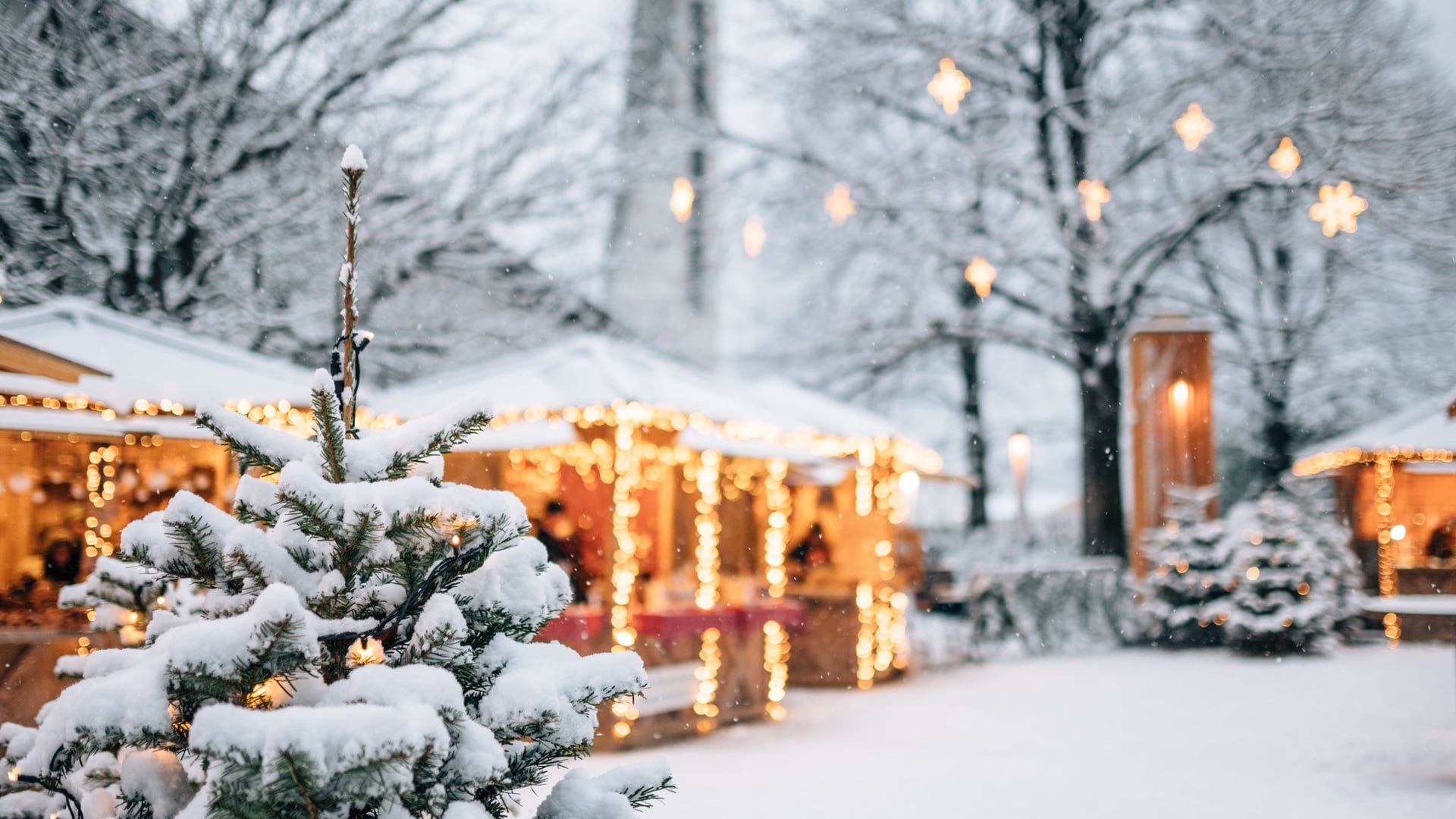 Besonderer Weihnachtszauber