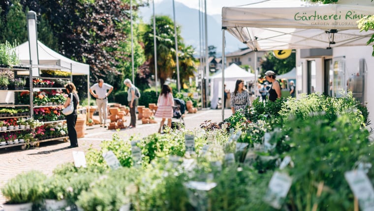 Gartenflair auf den lokalen Märkten