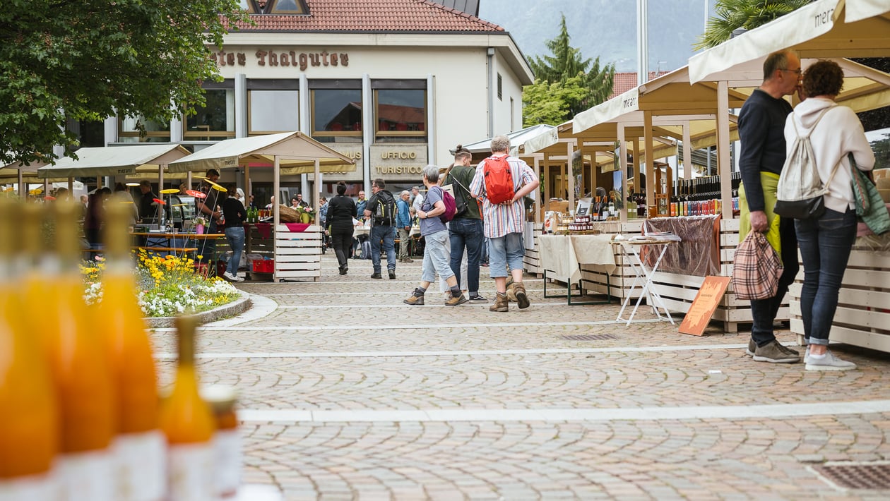 Genussvoller Frühling in Algund