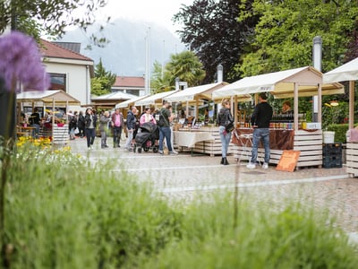 Genussvoller Frühling in Algund