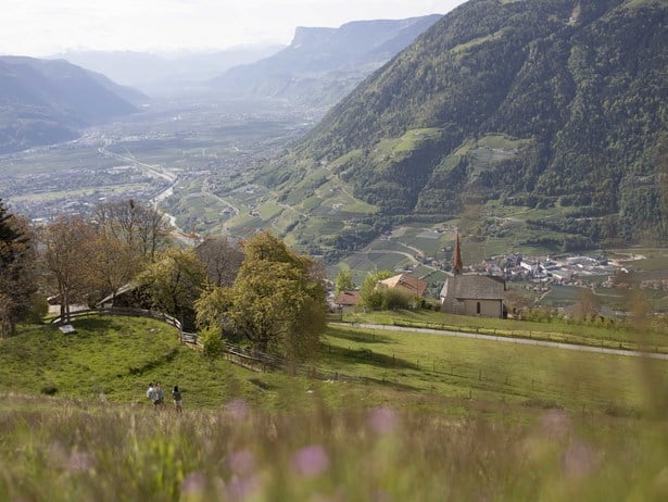 Algund Balance: Atemzüge der Natur - Wandern mit Achtsamkeit