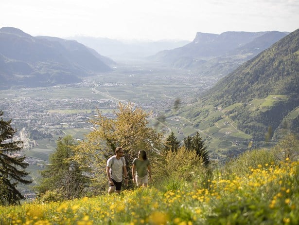 Algund Balance: Atemzüge der Natur - Wandern mit Achtsamkeit