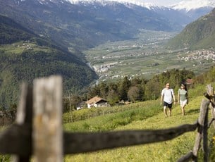 Algund Balance: Atemzüge der Natur - Wandern mit Achtsamkeit