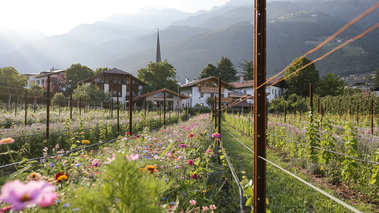 Concorso per il Giardino Naturale di Lagundo