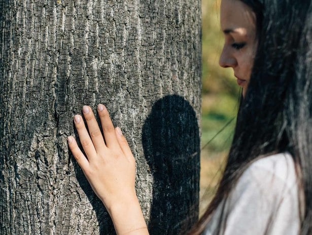 Algund Balance: Benessere nel bosco e sapori selvatici in malga