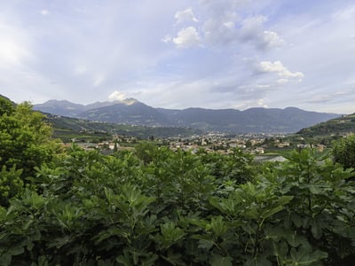 Aussicht auf Algund