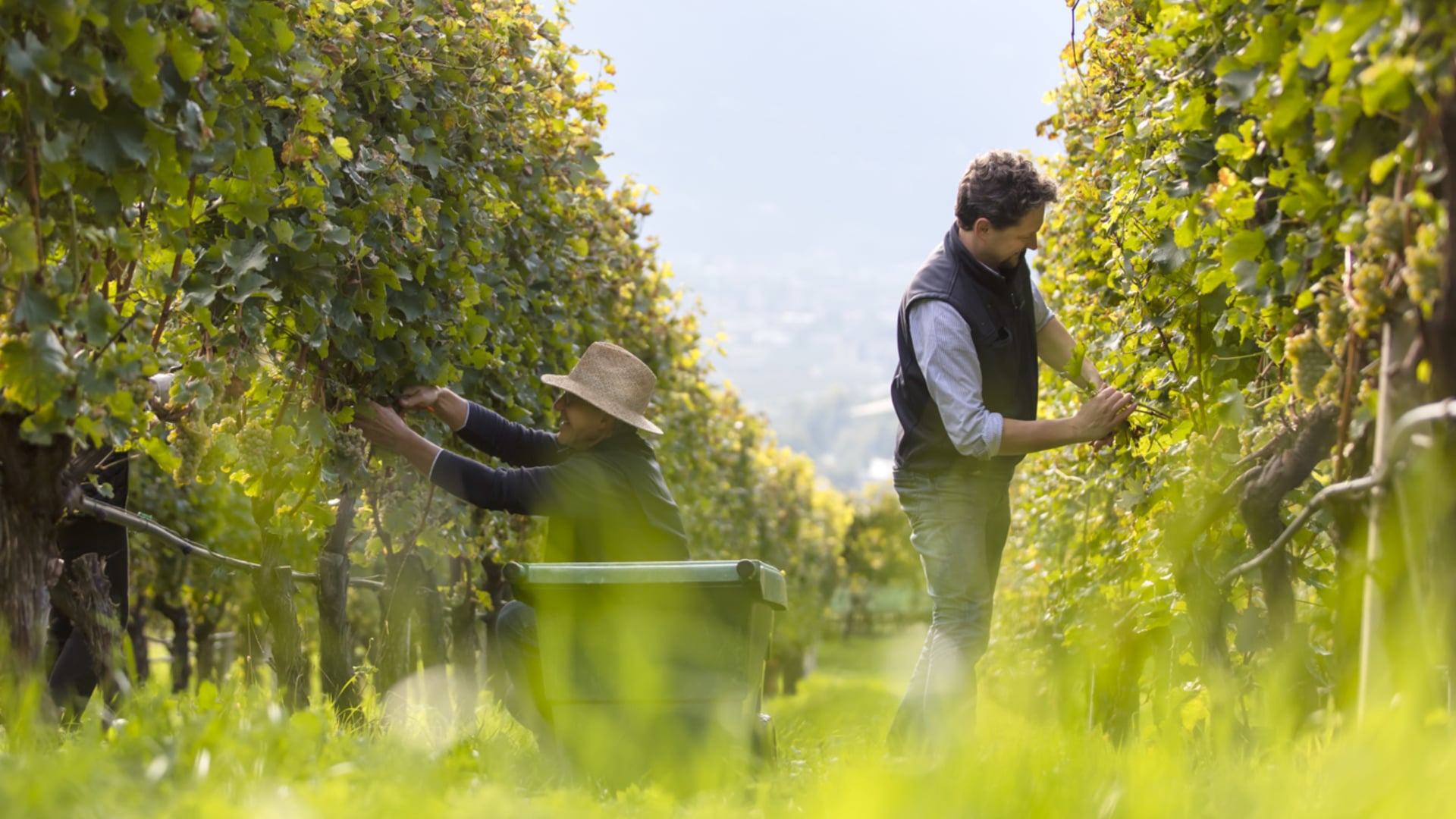 Der Geschmack unserer Heimat