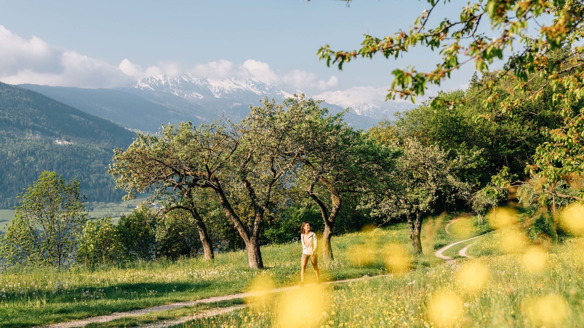 Von Waalweg bis Bergblick