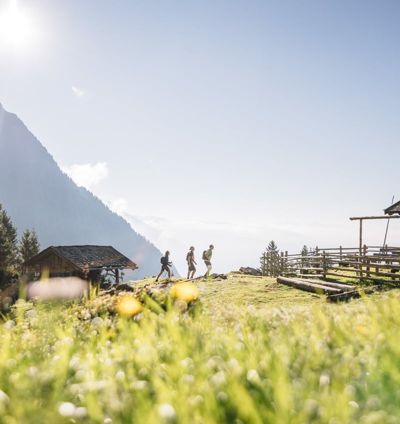 From 300 to 3,000 meters above sea level