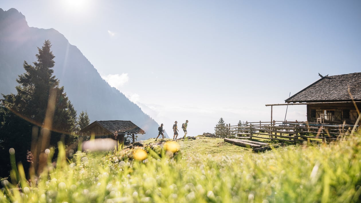 Tropical weather for hiking and strolling in summer