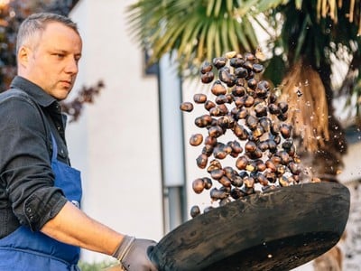 The Meditteranean climate of Algund, palm trees and cypresses overlooking the village