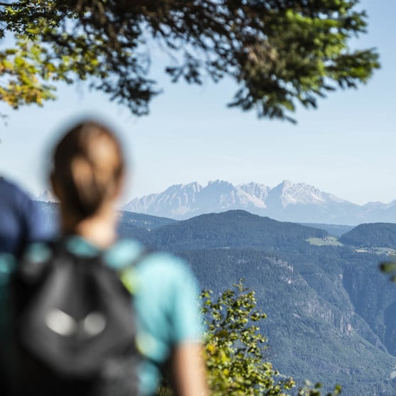 Trekking around Merano: Your choice, your path