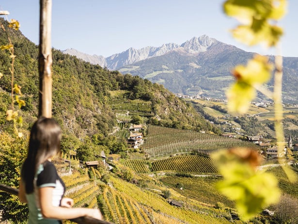 Jede Jahreszeit schenkt Kraft, Ruhe und Inspiration