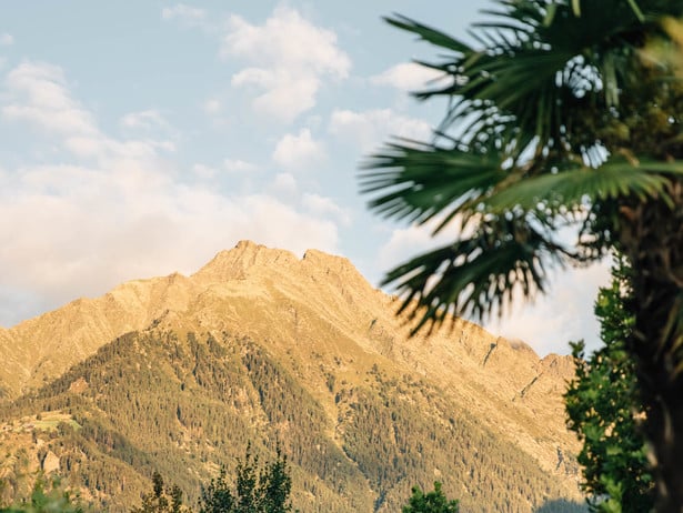 Fresh air, movement, and well-being