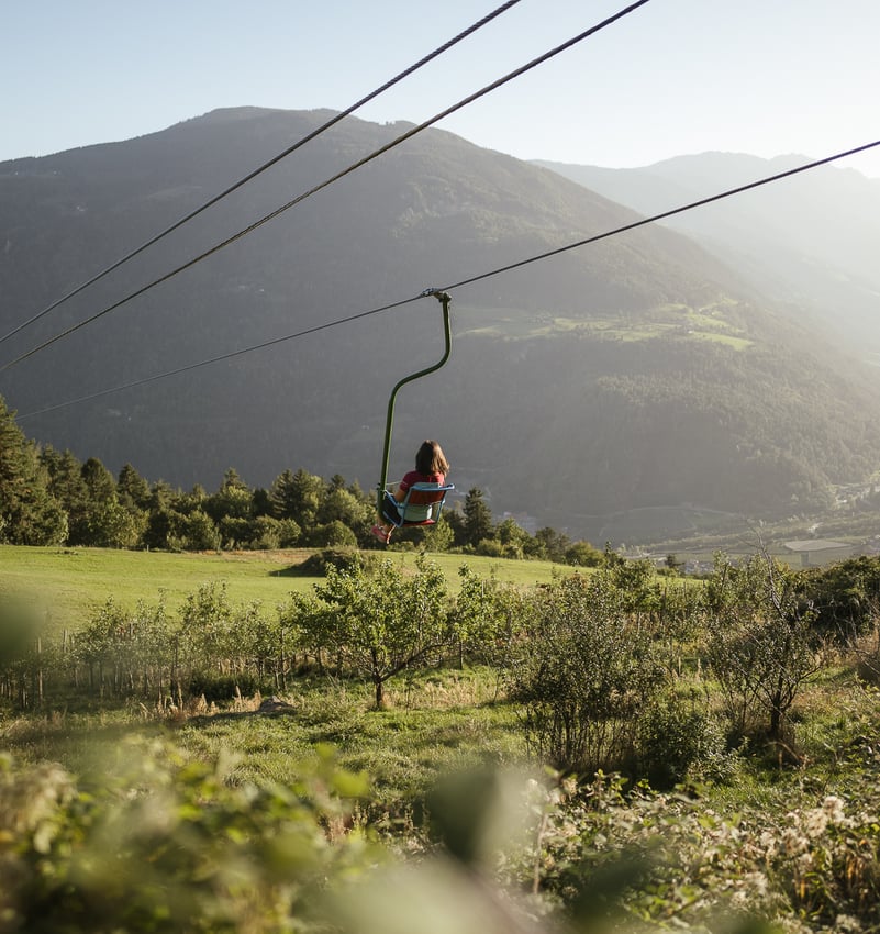 Cycling in the middle of green