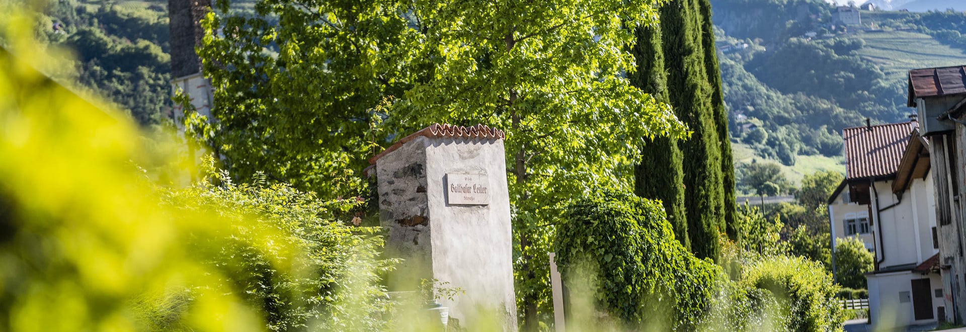 Mitten im Dorf, mittem im Grün