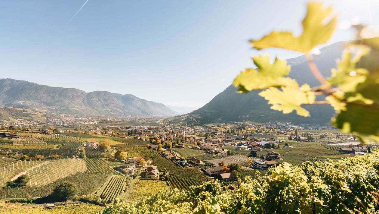 The beautiful variety of colours of the South Tyrolean autumn