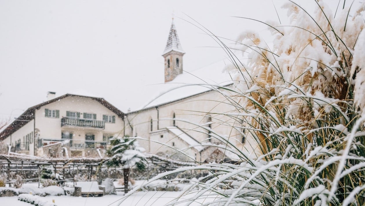 White winter delights at the Christmas market