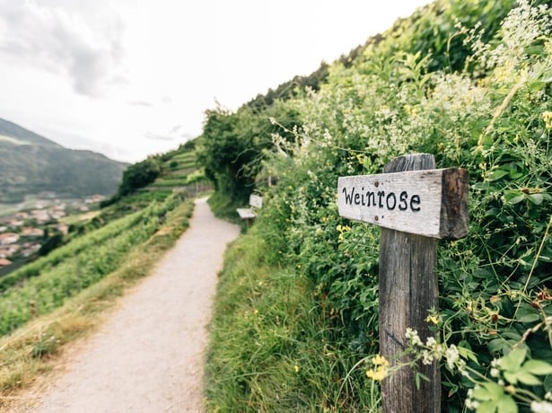 Algunder Waalweg: Aktivurlaub in Südtirol