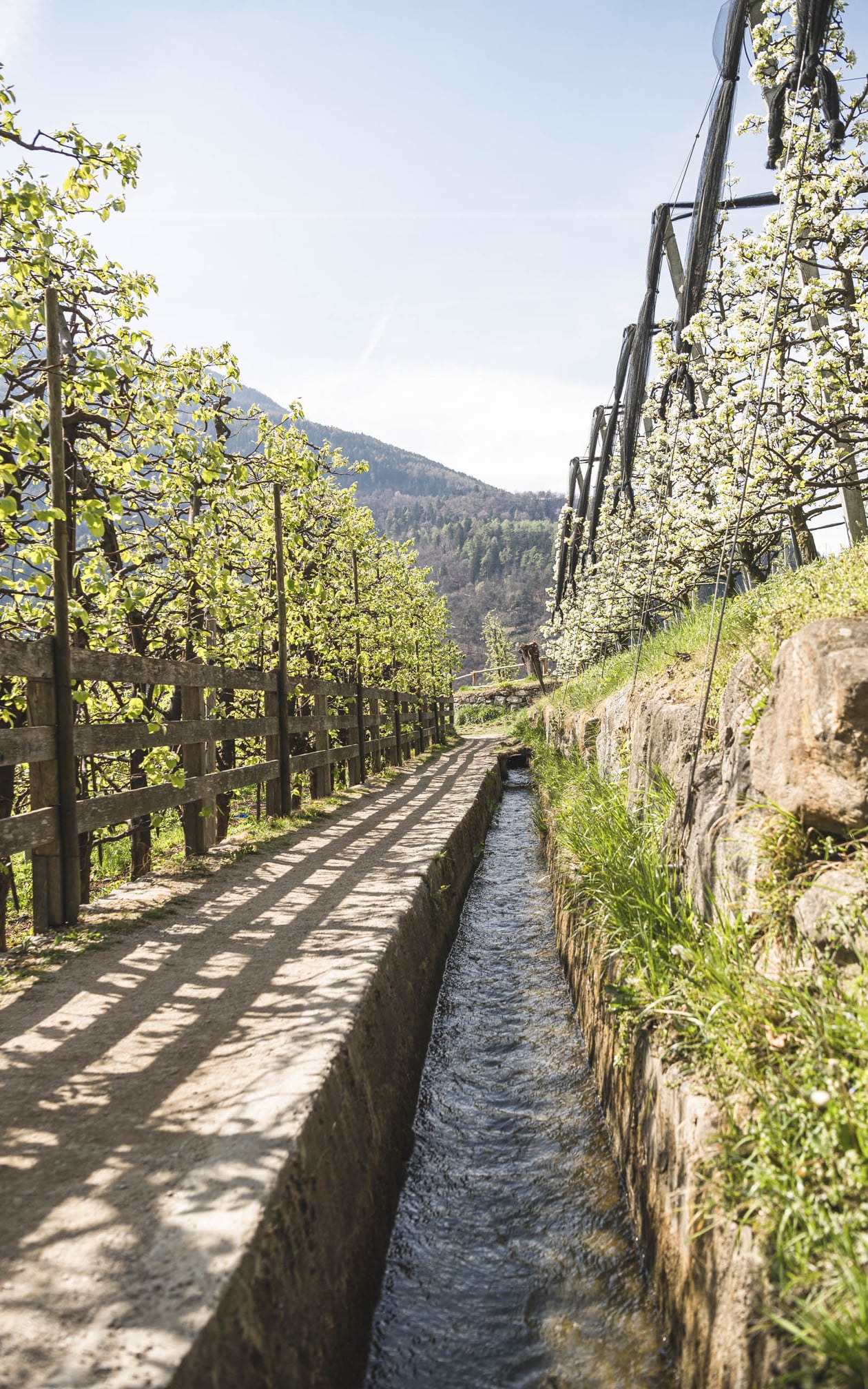 Wandern ohne Limits in herrlichem Wetter