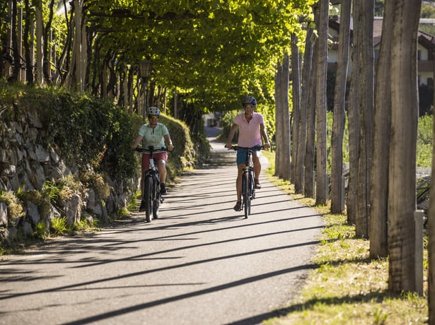 Cycling along beautiful avenues