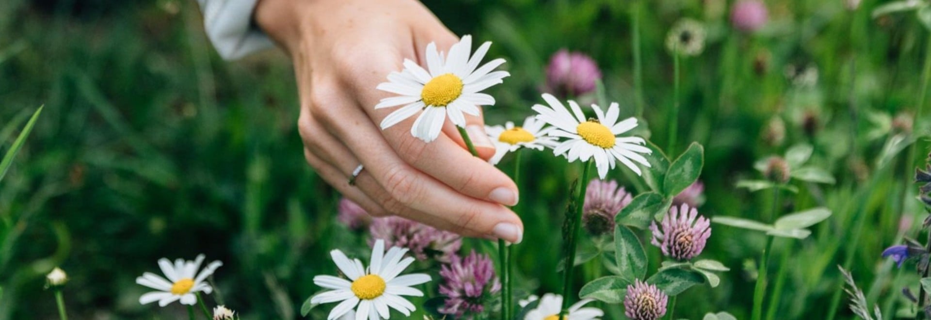 Ferienkatalog downloaden