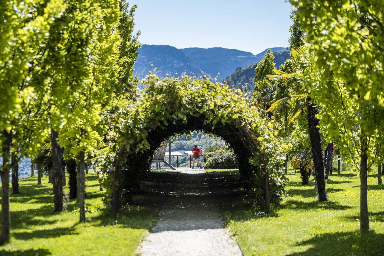 Fahrrad-Hotels bei Meran in Algund