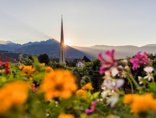 Sonnenaufgang auf einer Blumenwiese