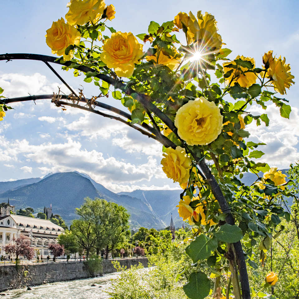 ganz nah an Meran wandern