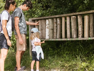 Familien Aktivitäten