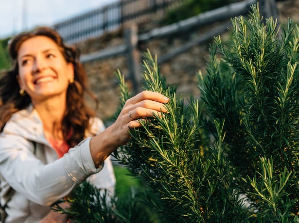 La natura dal giardino di casa