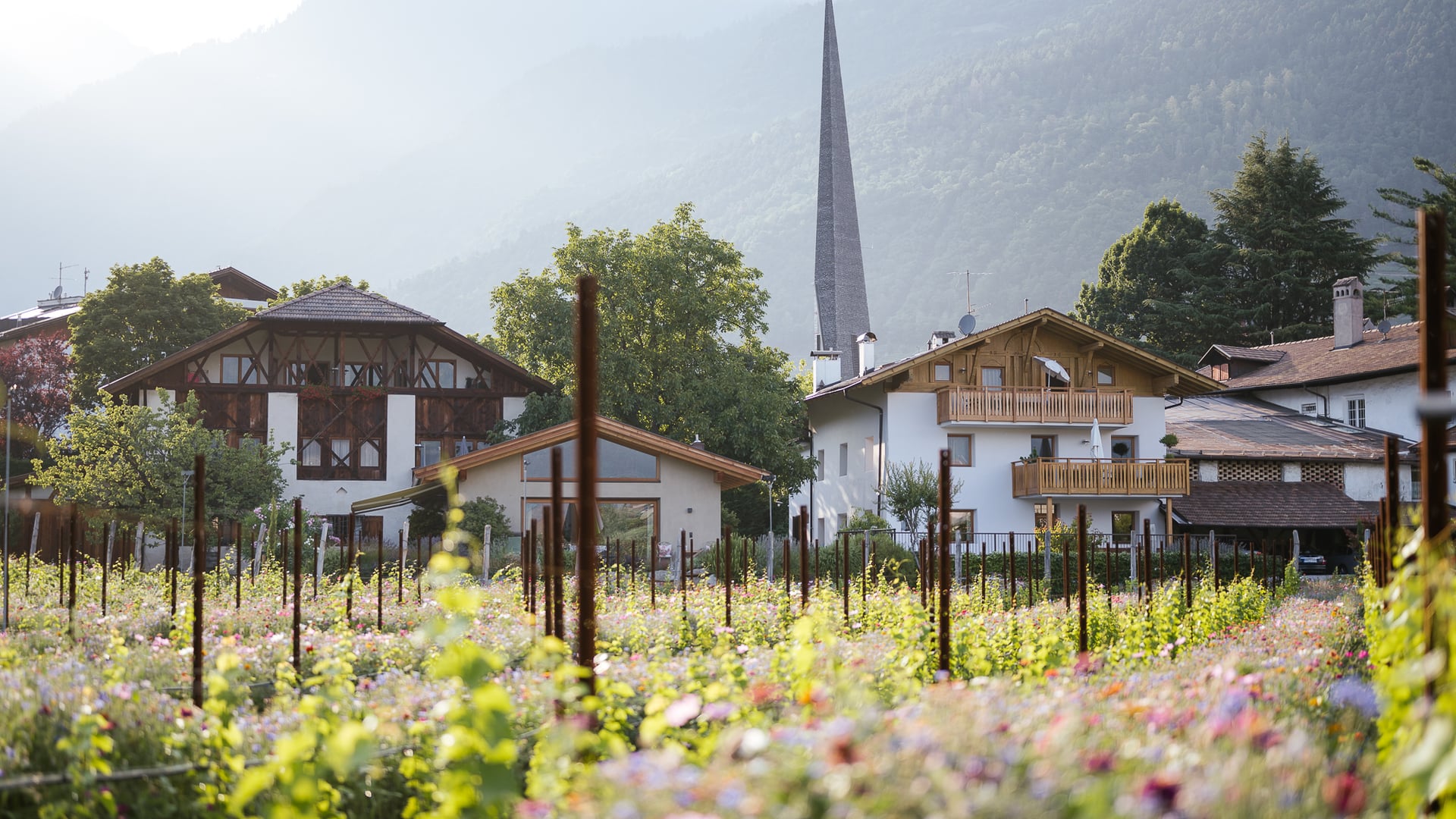 Thronsessel mit Panoramaaussicht